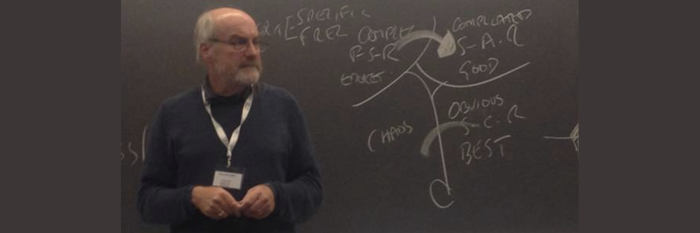 cynefin framework